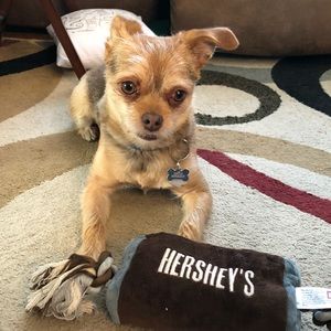 Meet your Posher, Noelle